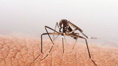 Dengue Outbreak Bangladesh: ডেঙ্গুতে আক্রান্ত হয়ে সেপ্টেম্বরের প্রথম ৬ দিনে বাংলাদেশে ১৯৬৩ জন হাসপাতালে ভর্তি, মারা গেছে অন্তত ৯জন