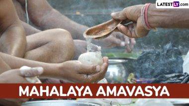 Amavasya October 2024 Date: মহালয়া অমাবস্যা কবে? জেনে নিনি তিথি ও সময়