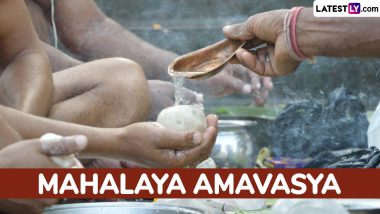 Amavasya October 2024 Date: মহালয়া অমাবস্যা কবে? জেনে নিনি তিথি ও সময়