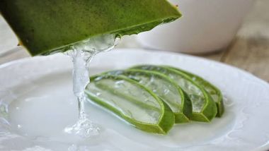 Aloe Vera Benefits for Hair: চুল পড়ার সমস্যা হলে ব্যবহার করুন অ্যালোভেরা, জেনে নিন চুলের জন্য অ্যালোভেরার উপকারিতা..