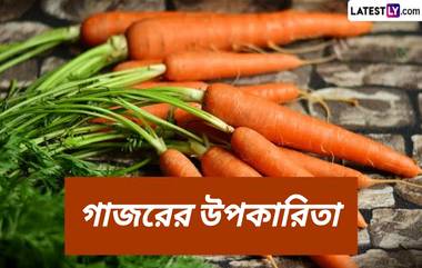 Carrot Benefits: গাজর খেলে আশ্চর্যজনক উপকার হয় শরীরে, জেনে নিন গাজরের উপকারিতা...