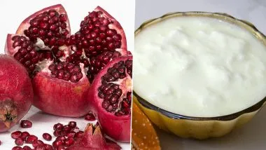 Curd And Pomegranate Benefits: মিষ্টি দই ও বেদানা পুষ্টিগুণে ভরপুর, জেনে নিন মিষ্টি দই ও বেদানার মিশ্রণ উপকারী নাকি ক্ষতিকর...