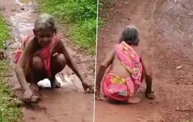 Odisha Shocking Video: বৃদ্ধ ভাতা জোগাড় করতে ২ কিমি রাস্তা হাতড়ে পঞ্চায়েত অফিসে পৌঁছলেন বৃদ্ধা, দেখুন