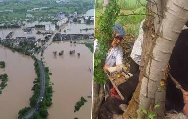 Gujarat Rain: অতি ভারী বর্ষণ, দেখুন দেবভূমি দ্বারকা কী পরিস্থিতি