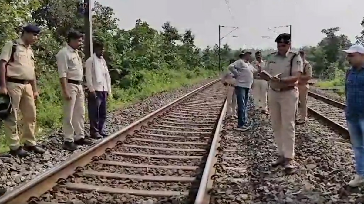 Madhya Pradesh: ফের নাশকতার ছক, রেললাইনে পোঁতা ১০ টি ডেটোনেটর, দেখুন ভিডিয়ো