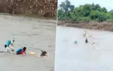 Telangana Flood: জলমগ্ন রাস্তায় গরুর গাড়ি নিয়ে ভেসে যাওয়ার উপক্রম, কোনও রকমে প্রাণে বাঁচলেন কৃষকেরা, দেখুন ভিডিয়ো