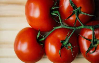 Tomato Is Vegetable Or Fruit: টমেটো সবজি নাকি ফল! আপনি কি জানেন এর উত্তর?