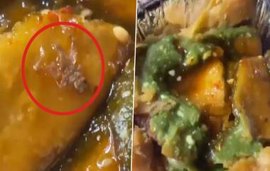 Dead Spider in Samosa: সিঙ্গারা খেতে গিয়ে চোখে পড়ল মড়া মাকড়সা, চক্ষু চড়কগাছ নেটিজেনের