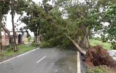 Cyclone Dana: ঘূর্ণিঝড় ডানায় ওডিশার ক্ষতি ৬০০ কোটি টাকা, দুর্যোগ কবলিত ৪১ লক্ষেরও বেশী মানুষ