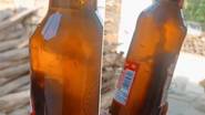 Dead Lizard Found in Beer: বিয়ারের বোতলের মধ্যে ভাসছে মড়া টিকটিকি, মাথায় হাত নেটিজেনদের