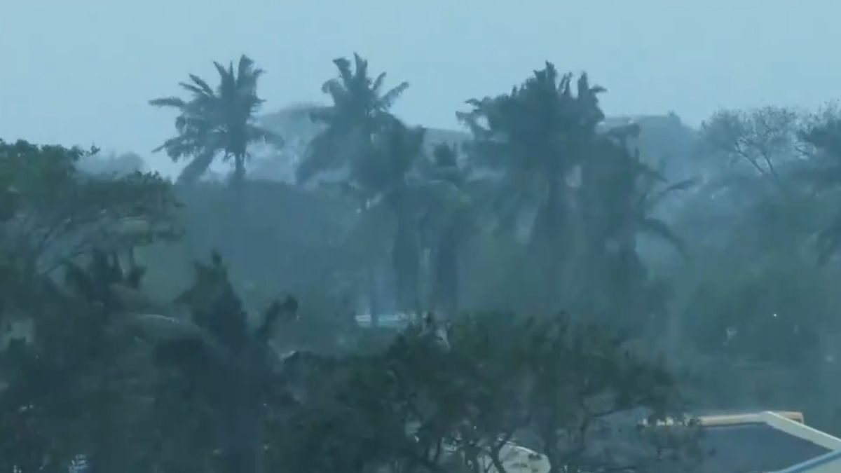 Weather Update After Cyclonic Storm: ঘূর্ণিঝড় ডানার পর কেমন থাকবে আগামীকালের আবহাওয়া দেখুন