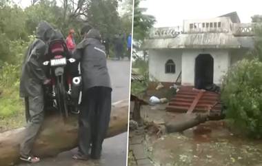 Cyclone Dana: ঘূর্ণিঝড় ডানার দাপটে  ভদ্রকের বিস্তীর্ণ অঞ্চলে গাছ পড়ে রাস্তা অবরুদ্ধ, সকাল থেকেই গাছ কাটতে তৎপর প্রশাসন(দেখুন ভিডিও)