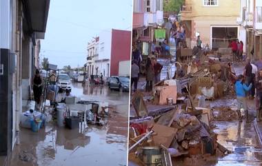 Spain Flood: বন্যা কবলিত অঞ্চলে যাওয়া স্পেনের প্রধানমন্ত্রী, রাজাকে পচা ডিম ছুড়ে মারলেন দুর্গতরা