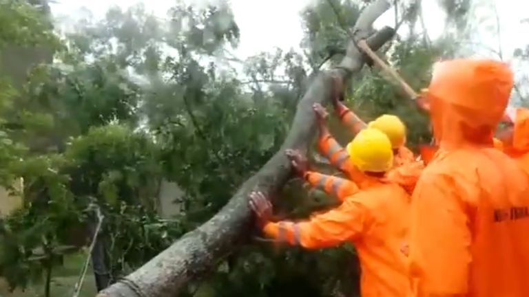 Cyclone Dana: ডানার দাপটে লণ্ডভণ্ড ধামরা, গাছ উপড়ে, রাস্তা ভেঙে স্তব্ধ জনজীবন, দেখুন