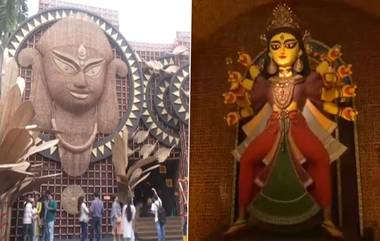 Durga Puja 2024:সামাজিক ন্যায়বিচার ও সম্প্রদায়ের ক্ষমতায়নের প্রতীক হাজরা পার্ক দুর্গাপুজো, ৮২ তম বর্ষে তাঁদের নিবেদন 'শুদ্ধি'