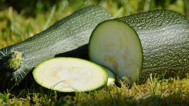 Zucchini Benefits: শসার মতো দেখতে জুকিনিও স্বাস্থ্যের জন্য উপকারী, জেনে নিন জুকিনি খাওয়ার উপকারিতা সম্বন্ধে বিস্তারিত...