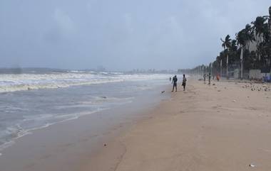 Couple Caught on Camera Having Sex in Beach: সৈকতে উদ্দাম যৌনতায় মেতে উঠলেন দম্পতি, ভিডিয়ো প্রকাশ্যে আসতেই ভাইরাল