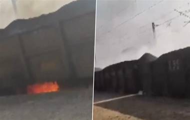 Goods Train Fire: ওড়িশায় একটি মালবাহী ট্রেনের একাধিক বগিতে আগুন