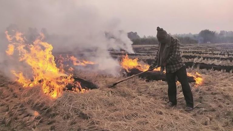 Stubble Burning Under New 2024 Amendment Rules:  নতুন ২০২৪ সংশোধন বিধির অধীনে খড় পোড়ানোর জন্য জরিমানার পরিমাণ দ্বিগুণ করল পরিবেশ, বন ও জলবায়ু পরিবর্তন মন্ত্রক