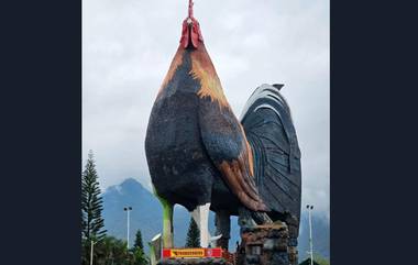 Chicken Shaped Hotel: ১১৪ ফুট লম্বা মুরগির আকারে তৈরি এই জিনিসটি আসলে কী জানেন? যার নাম উঠল গিনেস বুকে