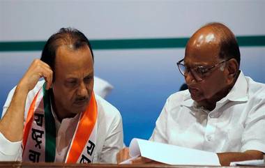 Ajit Pawar vs Sharad Pawar 'নিজের পায়ে দাঁড়াতে শিখুন', নির্বাচনের আগে সুপ্রিম কোর্টে বড় ধাক্কা অজিত পাওয়ারের