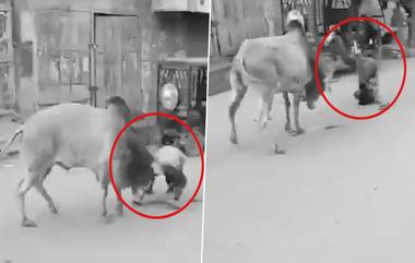 Bull Attack Video: শিউরে ওঠা হামলা, পরপর ১৫ জনকে গুঁতিয়ে ফেলে দিল ষাঁড়