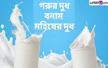 Cow Milk vs Buffalo Milk: গরু না মহিষ, কার দুধ বেশি স্বাস্থ্যকর? জেনে নিন গরুর দুধ ও মহিষের দুধ মধ্যেকার পার্থক্য...