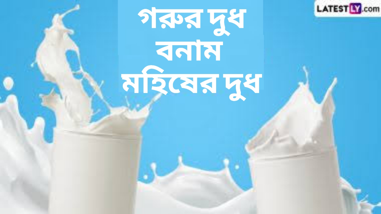 Cow Milk vs Buffalo Milk: গরু না মহিষ, কার দুধ বেশি স্বাস্থ্যকর? জেনে নিন গরুর দুধ ও মহিষের দুধ মধ্যেকার পার্থক্য...