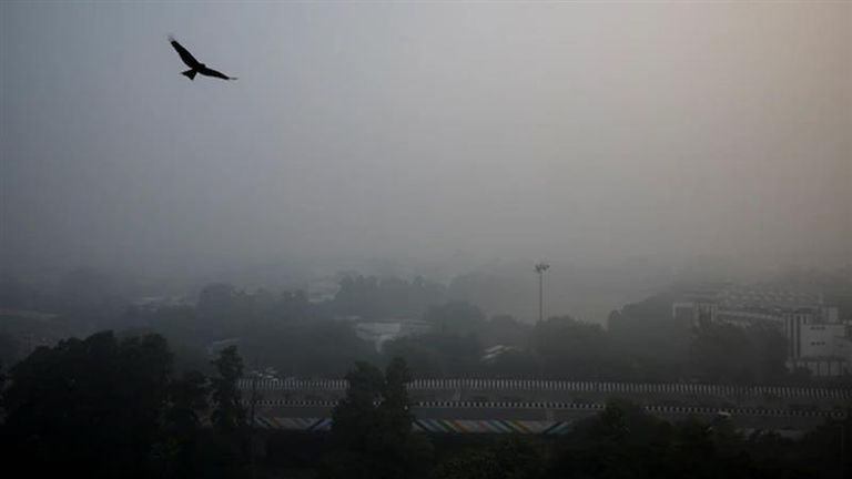 Delhi Smog: দিল্লির বাতাসে রেকর্ড দূষণ, বন্ধ কোচিং সহ ট্রাক পরিষেবা