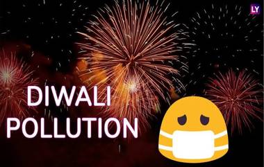 Diwali Pollution: দীপাবলির আতশবাজি থেকে নির্গত বিষাক্ত ধোঁয়ায় দূষিত হচ্ছে বায়ু, জেনে নিন এই বায়ু স্বাস্থ্যের জন্য কতটা বিপজ্জনক...