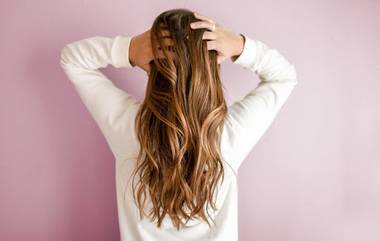 Hair Care Tips: শীতের মরসুমে চুল মসৃণ ও উজ্জ্বল করার জন্য ব্যবহার করুন বাড়িতে তৈরি ডিমের কন্ডিশনার...