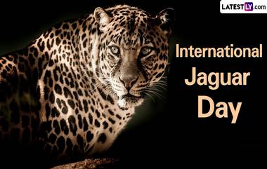 International Jaguar Day 2024: আন্তর্জাতিক জাগুয়ার দিবস কবে? জেনে নিন গোটা বিশ্বে জাগুয়ারের সংখ্যা এবং আন্তর্জাতিক জাগুয়ার দিবসের গুরুত্ব...