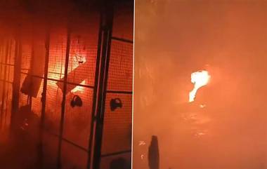 Fire:মধ্যরাতে বাজারে আগুন, পুড়ে ছাই এক ডজন দোকান, দেখুন ভিডিয়ো