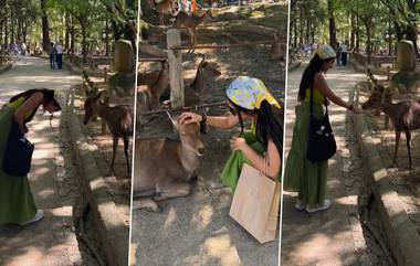 Viral Video Of Nara Deer With Indian Tourists: ভারতীয় দেখলেই 'সম্মান', মাথা নীচু করে অভিবাদন জানাচ্ছে জাপানের নারা হরিণ, দেখুন ভিডিয়ো