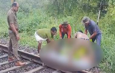 Rail Accident: রেললাইনে কাজ করছিলেন, আচমকা ট্রেনের ধাক্কায় মৃত্যু ৪ সাফাইকর্মীর