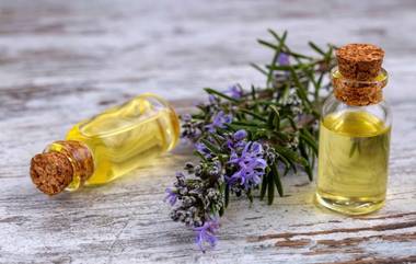 Rosemary Oil Benefits: রোজমেরি তেল চুল, ত্বক ও স্বাস্থ্যের জন্য উপকারী, জেনে নিন রোজমেরি তেলের উপকারিতা সম্বন্ধে বিস্তারিত...