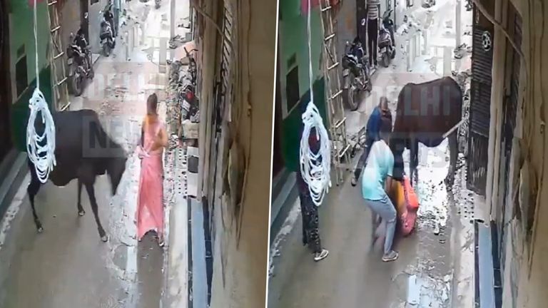 Shocking Video: রাস্তায় মহিলাকে ঠেলে নিয়ে গেল ষাঁড়, এরপর গুঁতনো শুরু করল মত্ত পশু, ভয়াবহ ভিডিয়ো