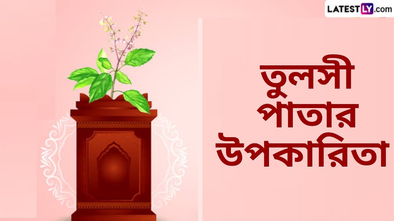 Health Benefits of Tulsi: প্রতিদিন তুলসী পাতা চিবিয়ে খেলে এক এক করে বিভিন্ন রোগ থেকে মুক্তি পাবে শরীর...