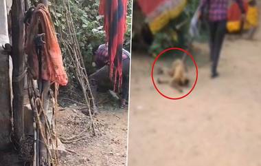 Shocking Video: লাঠি, ধারাল অস্ত্র দিয়ে বেদম মার, হনুমানের উপর নৃশংস হামলা মদ্যপের, দেখুন ভিডিয়ো