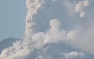 Bali Volcanic Eruption Video: বালির আগ্নেয়গিরি থেকে ভয়াবহ অগ্ন্যুৎপাত, ধোঁয়া, ছাইয়ে ঢাকছে আকাশ, দেখুন