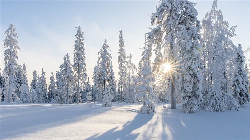 Weather Update For La Nina: লা নিনার ভ্রুকুটি, হাড় কাঁপানো শীতে বরফে 'জমে যাবে' উত্তর ভারত, সতর্কতা