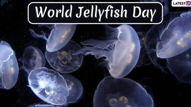 World Jellyfish Day 2024: বিশ্ব জেলিফিশ দিবস কবে? জেনে নিন বিশ্ব জেলিফিশ দিবসের ইতিহাস ও গুরুত্ব...