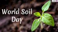 World Soil Day 2024: বিশ্ব মৃত্তিকা দিবস কবে? জেনে নিন বিশ্ব মৃত্তিকা দিবসের ইতিহাস ও গুরুত্ব...