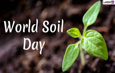 World Soil Day 2024: বিশ্ব মৃত্তিকা দিবস কবে? জেনে নিন বিশ্ব মৃত্তিকা দিবসের ইতিহাস ও গুরুত্ব...