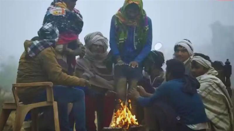 Delhi Temperature: হাড় কাঁপানো ঠাণ্ডায় কাবু রাজধানী দিল্লি, শৈতপ্রবাহের জেরে তাপমাত্রা পৌঁছল কোথায়?