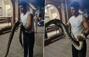 Python Rescued From Mahim Police Station: মুম্বইয়ের মহিম থানা চত্বর থেকে উদ্ধার হল বড় অজগর (দেখুন ভিডিও)