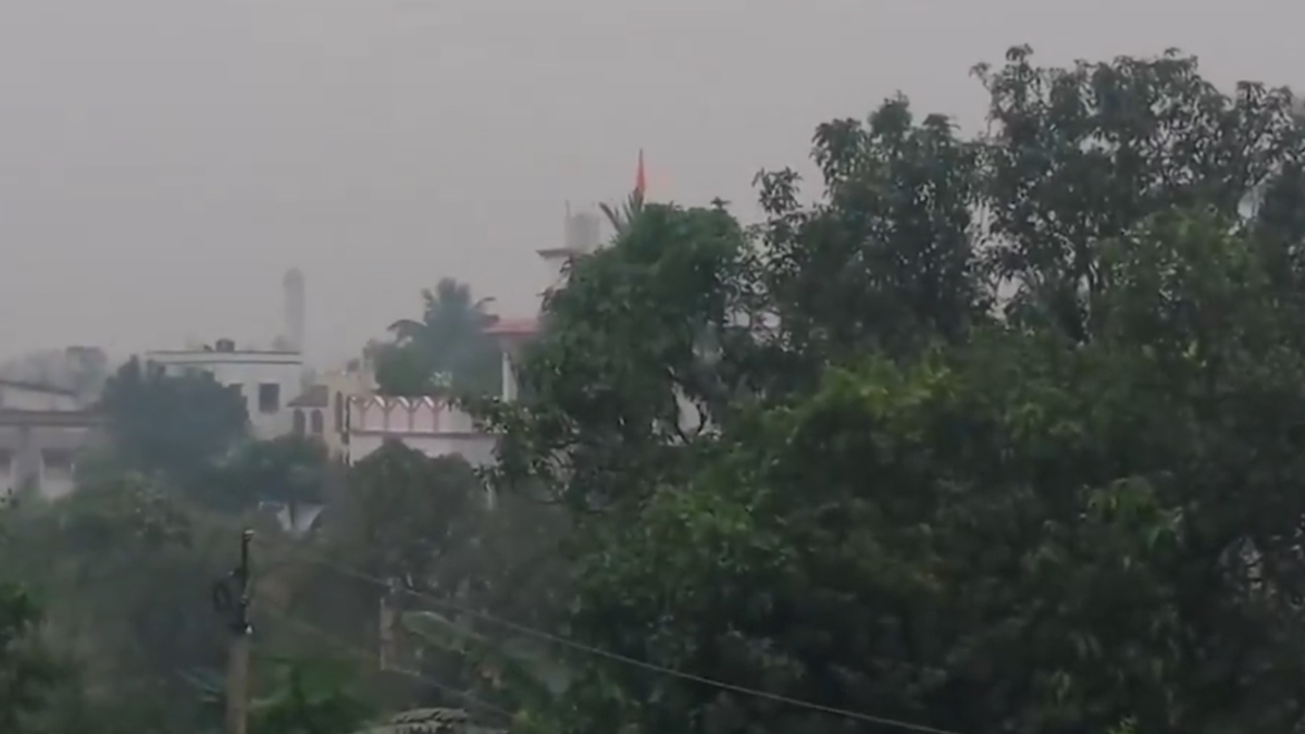 West Bengal Weather Forecast: বুধবারও ভিজবে বাংলা, কলকাতা সহ দিনভর বৃষ্টির সম্ভাবনা কোথায় কোথায়, রেকর্ড বর্ষণ হবে যেখানে!
