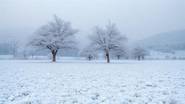 Odisha Snowfall Videos: সুন্দরগড় এবং ময়ুরভঞ্জে বিরল তুষারপাত! শৈত্যপ্রবাহে বাড়ল ঠান্ডা, দেখুন তুষারপাতের ভিডিও