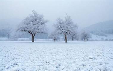 US Winter Storm: তুষার ঝড়ের সঙ্গে নামছে ধ্বস, ভয়াবহ পরিস্থিতি মার্কিন মুলুকে দেখুন