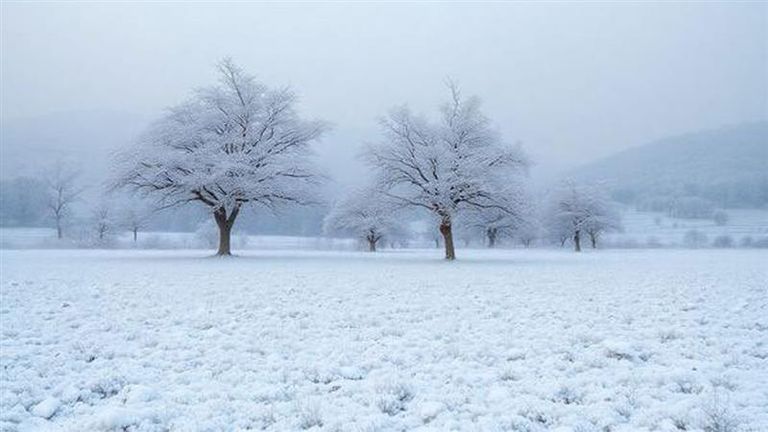 Odisha Snowfall Videos: সুন্দরগড় এবং ময়ুরভঞ্জে বিরল তুষারপাত! শৈত্যপ্রবাহে বাড়ল ঠান্ডা, দেখুন তুষারপাতের ভিডিও